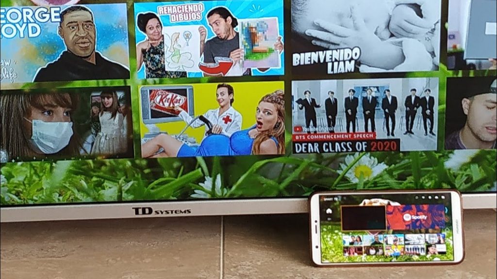 Smart Tv Td System Netflix 1