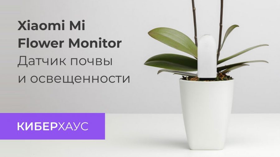 Xiaomi Smart Plant Monitor 1