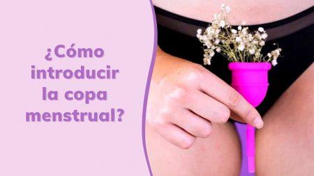 Copa Menstrual Aiwo 53 Copa Menstrual Aiwo 53